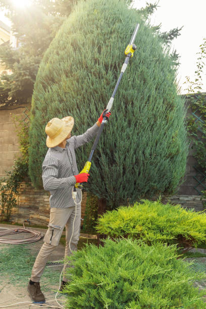 Best Tree and Shrub Care  in Kutztown, PA